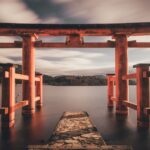 Verso il Sol Levante del domani: trasformazioni nel Giappone contemporaneo